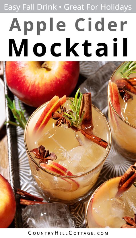 This homemade apple mocktail tastes like autumn in a glass! Made with apple cider, ginger ale, cozy spices, and fresh fruit, everyone can enjoy this light and refreshing fall drink! If you want a fun fall drink for the whole family, this sparkling apple mocktail is the way to go! It’s a deliciously sweet, spiced apple cocktail without alcohol. You get the beautiful flavors of fruity apple, cozy cinnamon, and rich honey. Perfect for a crowd and a hit on holidays! | CountryHillCottage.com Virgin Fall Drinks, Non Alcoholic Apple Cider Drinks, Fall Mocktails Non Alcoholic Big Batch, Fall Mock Tails, Apple Cider Drinks Nonalcoholic, Fall Drinks Nonalcoholic, Cocktail Without Alcohol, Holiday Apple Cider, Apple Mocktail