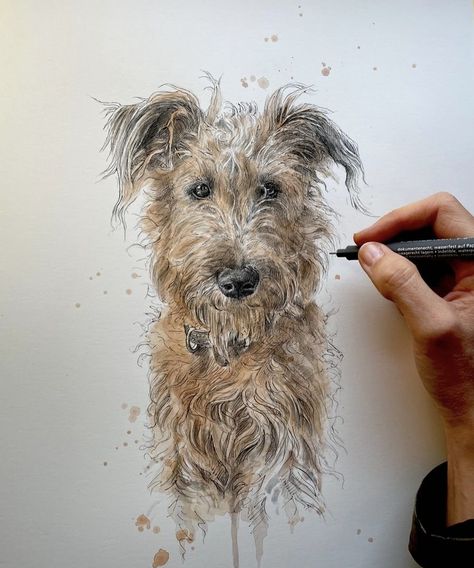 Ink And Wash Portrait, Line And Wash Animals, Cute Dog Drawings, Dog Art Drawing, Dog Watercolor Art, Dog Caricature, Drawing Dogs, Dog Line Drawing, Scruffy Dogs