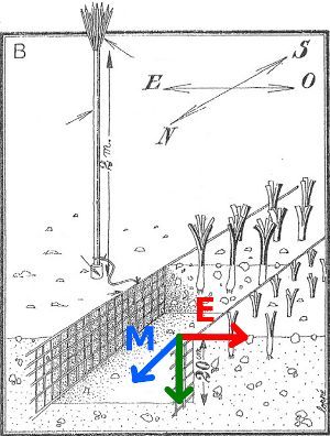 Electro Culture Gardening, Electroculture Gardening, Electro Culture, Raised Garden Beds Diy Vegetables, Copper Garden, Companion Gardening, Outdoor Greenhouse, Natural Farming, Bohemian Garden