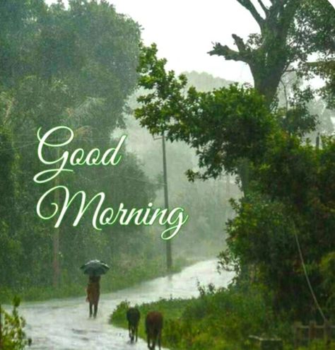 Rain Good Morning Images, Rainy Morning Quotes, Good Morning Nature Quotes, Rainy Good Morning, Dasara Wishes, Road Wallpaper, Good Morning Nature Images, Morning Christmas, Good Morning Posters