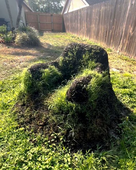 I grew a grass chair in my garden | garden, landscaping | Landscaping that's functional... 👏 | By LADbible Grass Chair, Garage Apron, Grasses Garden, Garden Fountain, Outdoor Decor Backyard, Gcse Art, Garden Seating, Garden Chairs, Yurt