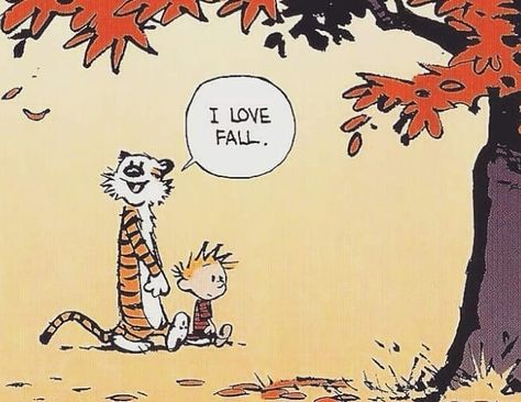 #calvinandhobbes #fall 🍃🍁 Tomte Tummetott, Calvin Und Hobbes, Calvin And Hobbes Quotes, Calvin Y Hobbes, Calvin And Hobbes Comics, I Love Fall, Love Fall, Happy Fall Y'all, A Tiger