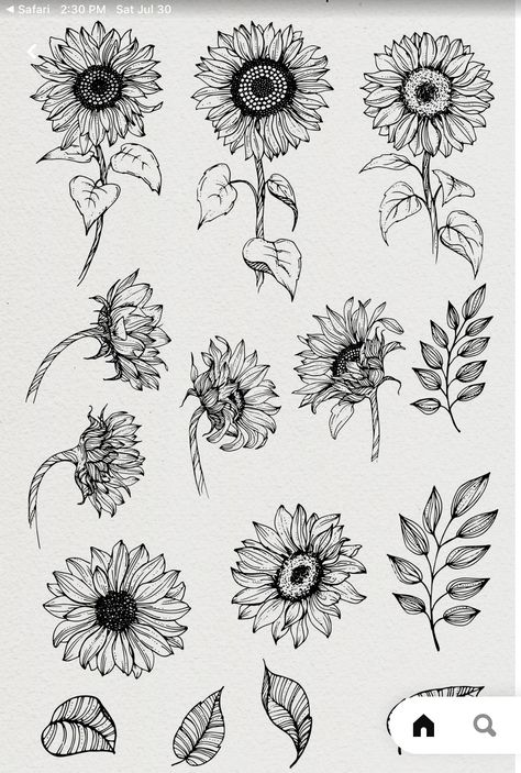 Scientific Tattoo, Sunflower Black And White, Zantangle Art, Mom Tattoo Designs, Sunflower Drawing, Tattoo Outline Drawing, Flower Line Drawings, Flower Drawing Tutorials, Dresses For Wedding Guest