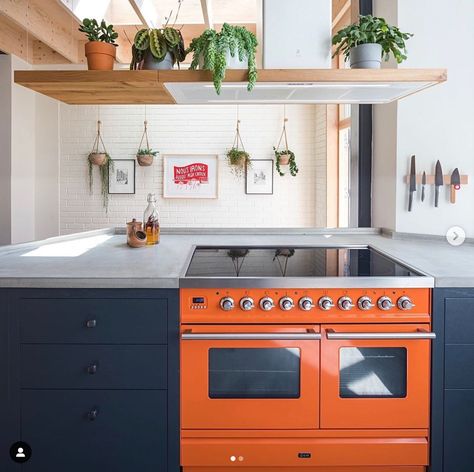 Jeff loves the pop color range. We also like the idea of the shelf vent hood that could have plants on top. Adu Apartment, Island Extractor Fan, Mcm Remodel, Mc Kitchen, Adu Kitchen, Minnesota Cabin, Green Shaker Kitchen, Sustainable Kitchen Design, Kitchen Extractor