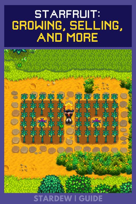 Are you short on gold and want a profitable fruit for farming in Stardew Valley? This item guide will look at the crop that grows in humid weather – Starfruit. Stardew Valley Starfruit, Farming Guide, Humid Weather, Community Development, Stardew Valley, The Plant, Healing, Fruit, Gold