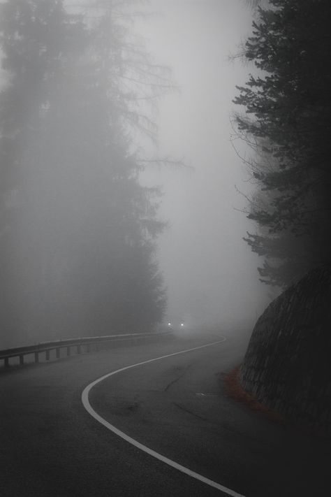 Foggy Road, Rainy Wallpaper, Dark Weather, Dark Naturalism, Foggy Weather, Rain Painting, Foggy Forest, Forest Road, Dark Paradise