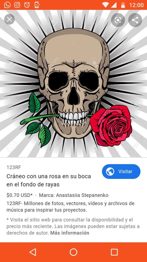 Rose In Mouth Tattoo, Skull With Rose In Mouth, Skull And Rose Drawing, Rose In Mouth, Weird Inspiration, Chinese Dragon Drawing, Mouth Tattoo, Holding A Rose, C Tattoo