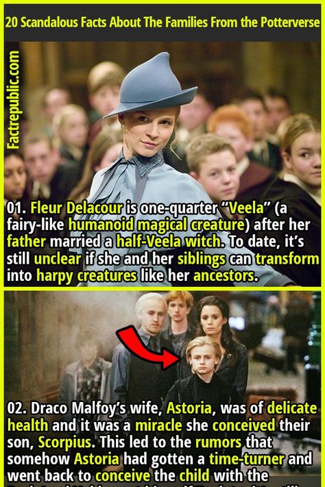 Rubeus Hagrid's father was a wizard and the first husband of Fridwulfa. He was short, not only in comparison to his giantess wife and half-giant son, but by human standards as well. Veela Draco Malfoy, Veela Harry Potter, Harry Potter Veela, Fleur Delacour Wedding Dress, Veela Draco, Harry Potter Children, Harry Potter Epilogue, Harry Potter Magical Creatures, Magical Creatures Harry Potter