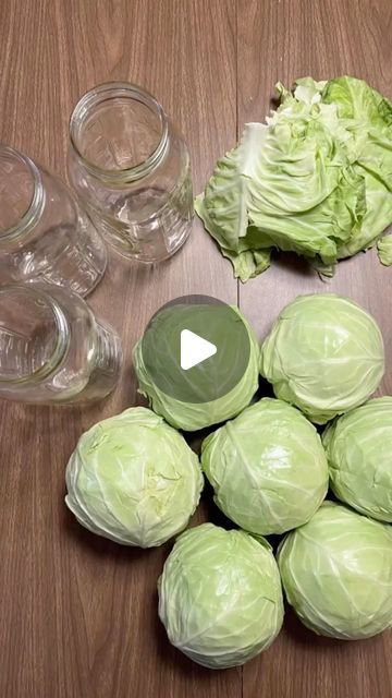 Weston A. Price Foundation on Instagram: ""There are more beneficial bacteria in a spoonful of raw sauerkraut than there are in a whole bottle of probiotic pills." — Sally Fallon Morell 

Repost @naturallynourishedhome:

Homemade sauerkraut. Do you make it? Let us know in the comments! If not, here is a recipe: 

1 medium head of cabbage > 1 TBSP sea salt
1 small head of cabbage > 1 scant TBSP sea salt

For three ½ gallon mason jars, I used 7 small heads of organic cabbage. If they are regular size, 2 heads per jar would work.

1. Peel off outer leaves of cabbage and save for later.
2. Cut the cores out and compost.
3. Thinly chop or shred the cabbage and place in glass bowl.
4. Evenly sprinkle salt over the top, then incorporate it into the rest of the bowl.
5. Let sit for 5-10 minutes.
6 Raw Sauerkraut, Gallon Mason Jars, Homemade Sauerkraut, Sprinkle Salt, Beneficial Bacteria, Fermenting, Probiotics, Glass Bowl, Mason Jars