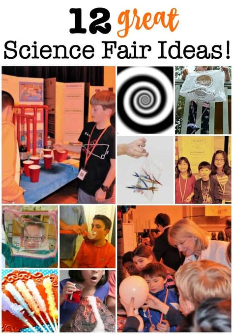 My kids say that the annual Science Fair is their favorite event at school! Here are 12 great science fair ideas that we've used to make our projects a success!  #ScienceFair #ScienceFairIdeas #ScienceFairProjects #KidsScience Grade 4 Science Fair Projects Ideas, Best Science Fair Projects Middle School, Winning Science Fair Projects For Middle School, Sports Science Fair Projects, Middle School Science Fair Project Ideas, Science Fair Ideas 7th Grade, Science Fair Ideas For Middle School, Science Fair Ideas Highschool, 7th Grade Science Fair Projects