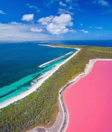 Lake Hillier Australia, Pink Lake Western Australia, Lac Rose, Great Barrier Reef Australia, Western Australia Travel, Australian Road Trip, Australia Vacation, Pink Lake, Australian Travel