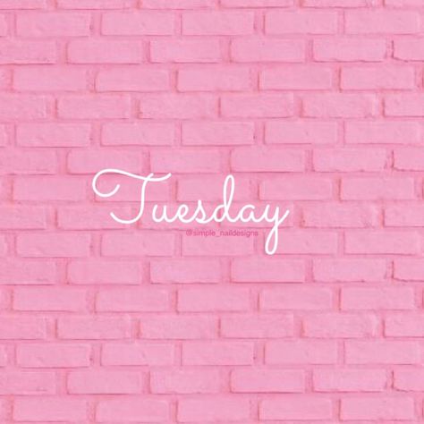 Tuesday Wallpaper, Red Aspen, Pink Life, Pink Quotes, Wall Papers, Pink Feathers, Weekend Fun, Christian Life, Pink Wallpaper