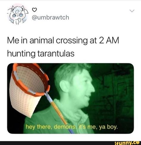 Me in animal crossing at 2 AM hunting tarantulas – popular memes on the site iFunny.co #animalcrossing #gaming #twitter #10at10 #animalcrossing #nintendo #me #animal #crossing #am #hunting #tarantulas #pic Animal Crossing Tarantula, Animal Crossing Funny, Ac New Leaf, Animal Crossing Fan Art, Animal Crossing Memes, Acnh Ideas, 2 Am, New Animal Crossing, Animal Crossing Game