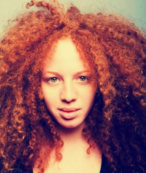 Ginger! Natural Curly Red Hair, Curly Red Hair, Red Curls, Foto Newborn, Red Curly Hair, Tumblr Hair, Red Heads, Beautiful Curls, Love Your Hair