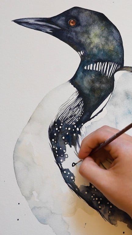 Watercolor loon painting Lots of dots and stripes #watercolor #loon #birdart #birder | Painted Wing Watercolor Loon Bird, Common Loon Photography, Loon Artwork, Loon Watercolor, Loon Painting, Loon Photo, Loon Art, Watercolour Artists, Watercolour Animals