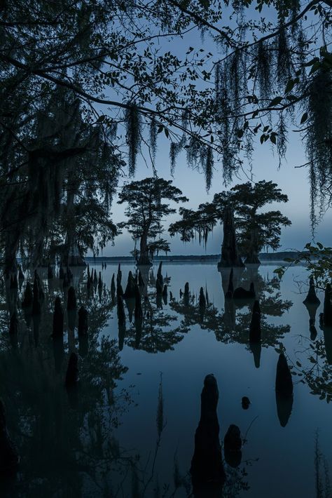 "Until the Water" - Swamp & Bayou - Frank Relle Louisiana Gothic, Bayou Aesthetic, Voodoo Aesthetic, Louisiana Aesthetic, Swamp Aesthetic, New Orleans Witch, Louisiana Voodoo, Louisiana Swamp, Louisiana Bayou