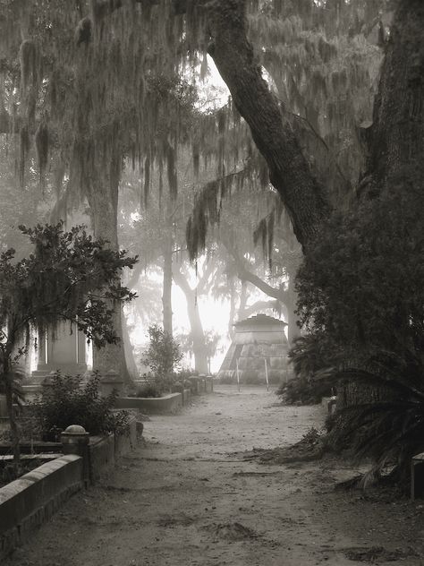 . Ethereal Plane, Gothic Background, Cemeteries Photography, Bonaventure Cemetery, Cemetery Headstones, Between Two Worlds, Old Cemeteries, The Boogeyman, Cemetery Art