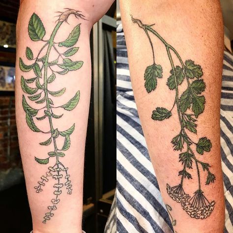 Cilantro Tattoo, Cilantro, Basil, Flower Tattoo, Tattoos, On Instagram, Instagram