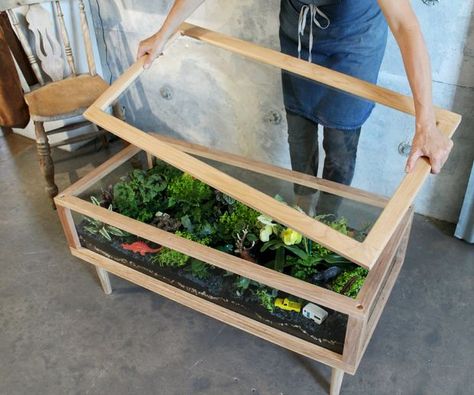 Indoor Garden in a coffee table - I'd love to try this with thyme, rosemary, etc. Would be cool to add earthworms! Table With Plants, Table Terrarium, Terrarium Table, Teaching Hacks, Build A Terrarium, Large Terrarium, Plant Diy, تصميم الطاولة, Plant Help