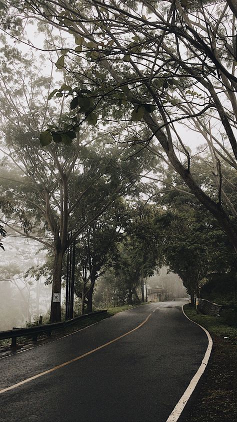 alam☘️ Foto Astethic Pemandangan, Astetic Baground, Srilanka Aesthetic, Polaroid Camera Ideas, Bandra Worli Sea Link, Wallpaper Gelap, Wallpaper Wa, Real Nature, Night Mode