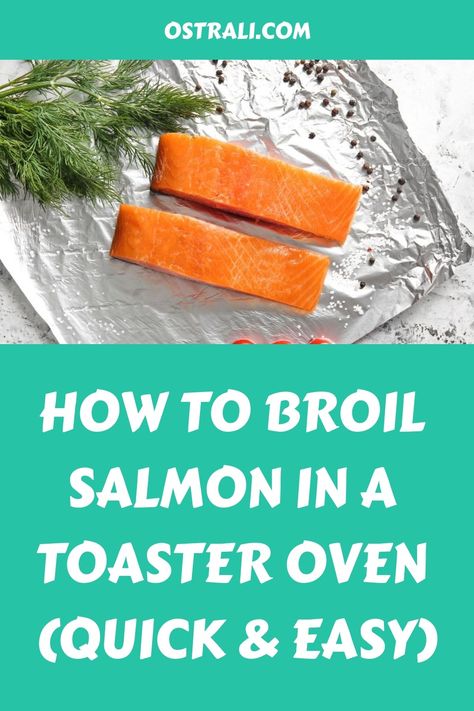 How to Broil Salmon in a Toaster Oven (Quick & Easy) Salmon In Toaster Oven Recipe, Toaster Oven Salmon Recipes, Toaster Oven Salmon, Salmon In Toaster Oven, How To Broil Salmon, Cook Frozen Salmon, Salmon Recipes Oven, Oven Salmon, Toaster Oven Recipes