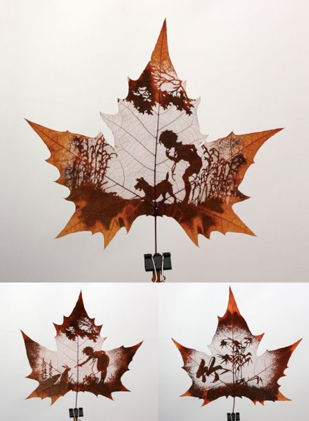 Leaf Carving Art #amazing #autums #leaf Leaf Carving, Leaf Artwork, Art Carved, Wow Art, Painted Leaves, Nature Crafts, Leaf Art, Pics Art, Banksy