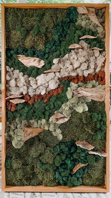 Reindeer Moss, Moss Art, Favorite Food, Reindeer, Did You Know, Favorite Recipes, Diet, Plants, On Instagram