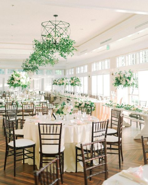 Social Graces Events | Madeleine Collins Photography | Chesapeake Bay Beach Club wedding | chandelier greenery | blush wedding | ballroom wedding | greenery blush and white centerpieces | elevated centerpieces Chandelier Greenery, Naval Academy Wedding, Chesapeake Bay Beach Club Wedding, Fluffy Flowers, Chesapeake Bay Beach Club, Beach Club Wedding, White Centerpiece, Wedding Chandelier, Light Photo