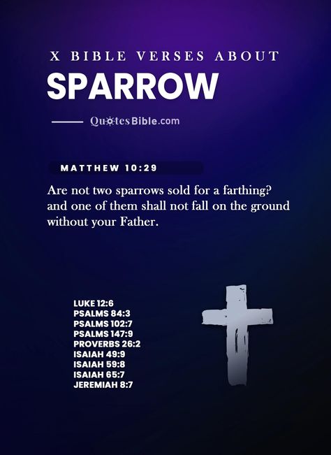 Every single sparrow is precious in the eyes of the Lord! Discover the top Bible verses about sparrows that remind us of God's loving care and protection. These inspiring scriptures will encourage your faith and remind you of His faithfulness. #Sparrow #verses Sparrow Bible Verse, Scriptures Quotes, Verses From The Bible, Top Bible Verses, Inspiring Bible Verses, Biblical Quotes Inspirational, Finding Strength, Uplifting Bible Verses, Proverbs 12