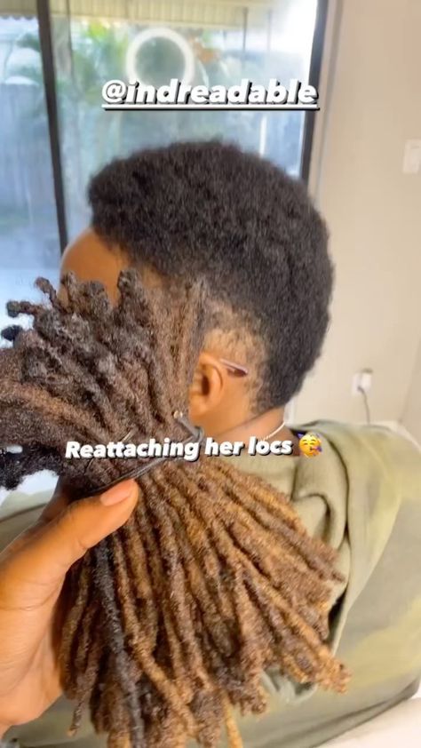 Christmas Locs Hairstyles, Short Locs Extension Hairstyles, Brick Layer Parting For Locs, Instalocs On Natural Hair, How To Add Dreadlock Extensions, Reattaching Dreadlocks, Barrel Twists Loc Styles Women, Small Locs Hairstyles, Adding Hair To Locs