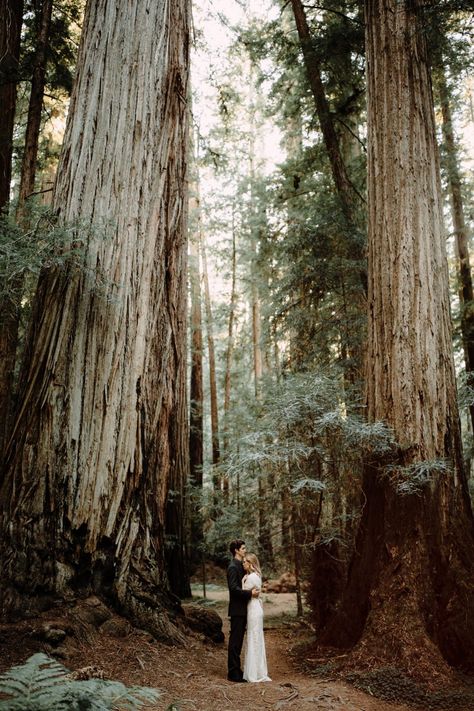 Marriage Pics, Wedding Locations California, Redwood Wedding, Forest Elopement, Redwood Forest, Nashville Wedding, Photography Family, Woodland Wedding, Forest Wedding