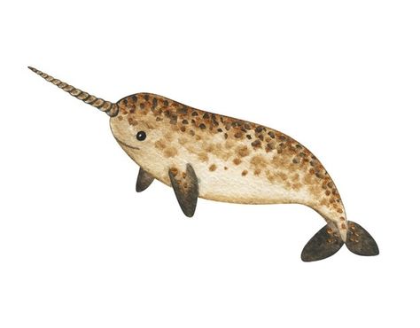 Narwhal Real, Watercolor Narwhal, Bujo Decoration, Narwhal Illustration, Narwhal Drawing, Illustration Underwater, Water Cartoon, Cartoon Sea Animals, Cute Narwhal