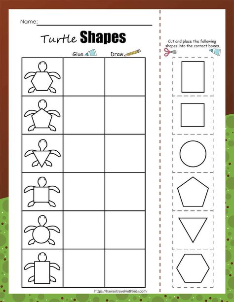 Get this free sea turtle printable where you cut and paste different shapes. Turtles For Preschoolers, Preschool Sea Turtle Craft, Sea Turtle Craft For Toddlers, Turtle Theme Preschool Activities, Pond Life Math Activities Preschool, Turtle Activity Preschool, Sea Turtle Preschool Activities, Ocean Animal Math Activities Preschool, Turtle Activities For Kindergarten