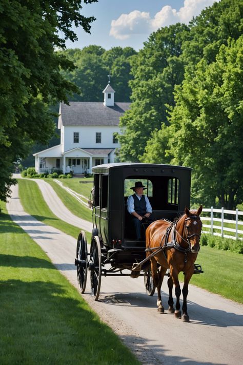 Simple Pleasures: Discovering the Charm of Amish Country in Indiana Amish Aesthetic, Random Theme, Amish Lifestyle, Amish Living, Amish House, Amish Culture, Amish Crafts, Amish Community, Northern Indiana