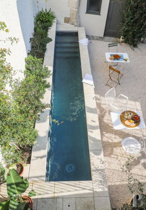 a small outdoor space with white garden furniture, a long narrow pool, growing greenery is a cool nook Mini Pool Backyard, Piscinas Pequeñas, Concrete Pools, Mini Piscina, Mini Pool, Small Pool Design, Small Pools, Lap Pool, Patio Interior