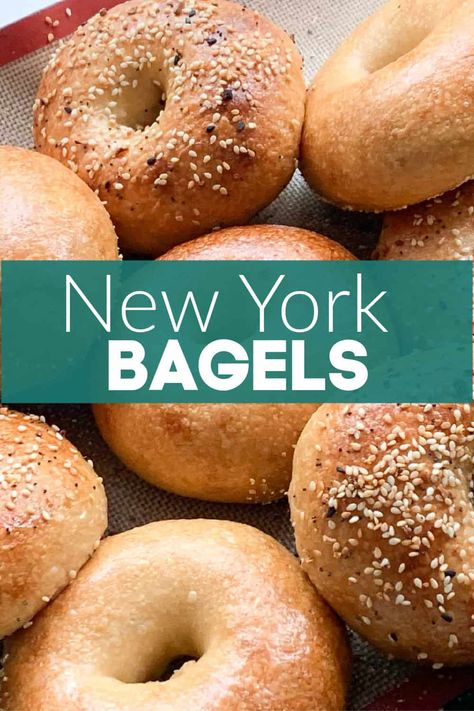 Ny Bagels Recipe Homemade, New York Bagels Recipe, Brueggers Bagels Recipe, Ny Style Bagels, Easy Bagels Recipe Homemade No Yogurt, Best Bagel Recipe Homemade, Small Batch Bagel Recipe, Ny Bagel Recipe, New York Bagels Recipe Homemade