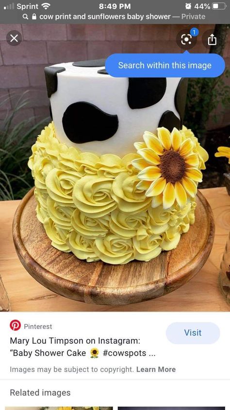 Cow Print And Sunflower Party Decorations, Sweet 16 Cow Cake, Cow And Sunflower Birthday Theme, Sunflower Cowgirl Party, Cow Sunflower Party, Cow Cake With Sunflowers, Cow Print And Sunflowers Party, Cow Print Sweet 16, Sunflower And Cow Birthday Party