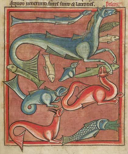 Medieval Literature, Fish Gallery, Ugly Animals, Medieval Dragon, Medieval Artwork, Artisan Tiles, Medieval Life, Animals And Birds, Book Of Hours