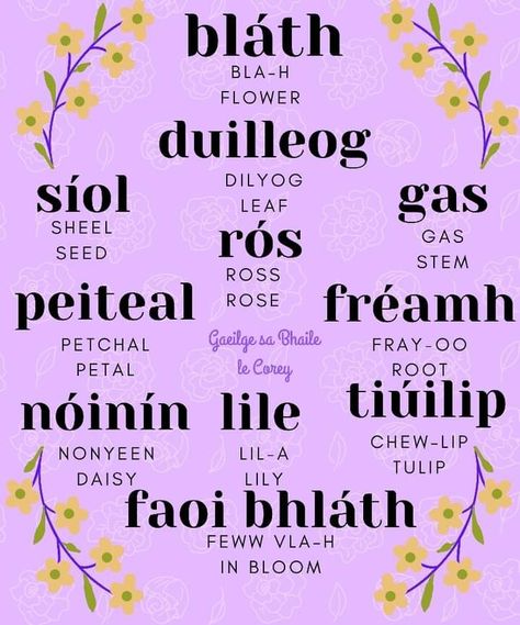 Irish Notes, Granny Witch, Learn Irish, Irish Gaelic Language, Celtic Language, Learning Irish, Gaelic Language, Gaelic Words, Irish Words