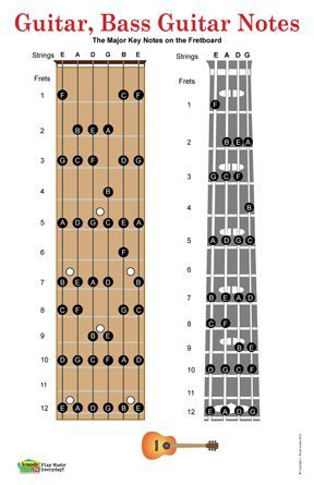 "The Guitar and Bass Guitar Fretboard Poster includes a guitar fretboard and a bass fretboard with the major notes for the first 12 frets on each. The sharps and flats have been left out to make the fret board a little easier to read. This easy to see poster is a great reference for the beginner or intermediate guitar player." Bass Fretboard, Bass Guitar Notes, Bass Guitar Chords, Ukulele Chords Chart, Basic Guitar Lessons, Music Theory Guitar, Guitar Notes, Bass Guitar Lessons, Guitar Fretboard