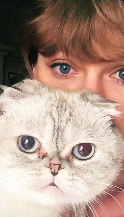 Taylor Swift Cat Eye, Taylor Swift And Her Cats, Taylor Swift Eyes, Taylor Swift Cat, Estilo Taylor Swift, Taylor Swift Cute, Taylor Swift Posters, Swift Photo, Olivia Benson