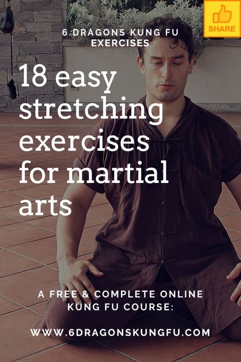 FULL BODY STRETCHING FOR MARTIAL ARTS - 18 simple exercises #stretching #6DKF #fitness #yoga #flexibility #stretch #flexible #workout #gymnastics #sport #training #mobility #fit Martial Arts Stretching Flexibility, Kung Fu Stretching, Stretches For Martial Arts Flexibility, Martial Arts Stretches, Flexible Workout, Kung Fu Training, Home Boxing Workout, Martial Arts Books, Yoga Flexibility