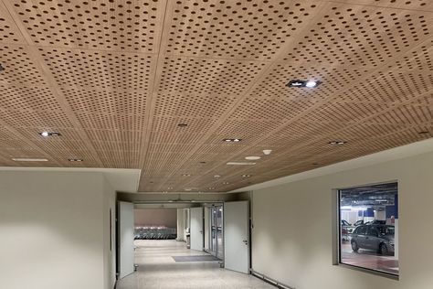 Wood-based acoustic ceilings and claddings by Soft Sound Natural Ceiling Design, Acoustical Ceiling, Acoustic Ceiling, Ceiling Finishes, Conference Hall, Ceiling Treatments, Ceiling Tile, Sound Absorbing, Ceiling Tiles