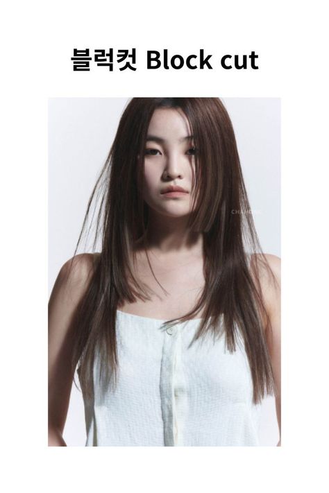 Hair Layers Asian, Blonde Light Brown Hair, Ulzzang Hair, Hair Layers, Hair Doctor, Cabello Hair, Medium Long Hair, Shot Hair Styles, Japanese Hairstyle