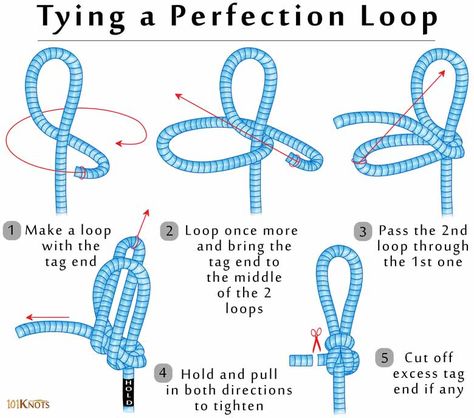 How to Tie a Perfection Loop Knot Tying Instructions, How To Tie A Knot, Fly Fishing Knots, Fishing Hook Knots, Bowline Knot, Hook Knot, 1000 Lifehacks, Camping Knots, Loop Knot