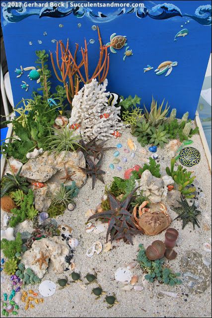 Succulents and More: 2017 Succulent Extravaganza was a blast Ocean Garden Ideas, Under The Sea Succulent Garden, Succulent Bed, Coral Landscape, Undersea Kingdom, Succulents Ideas, Underwater Garden, Mermaid Garden, Ocean Garden