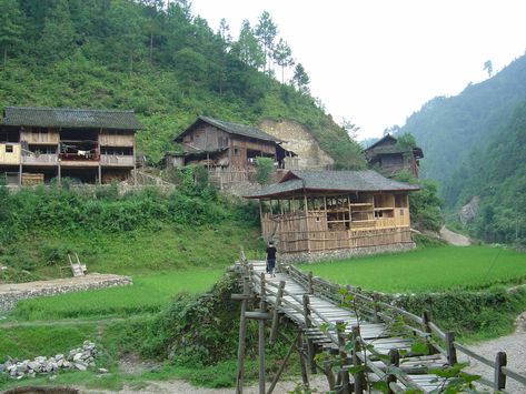 Chinese Countryside, Chinese Village, The Painted Veil, Medieval Houses, Ancient Times, Bird Watching, Pose Reference, Trees To Plant, In Time