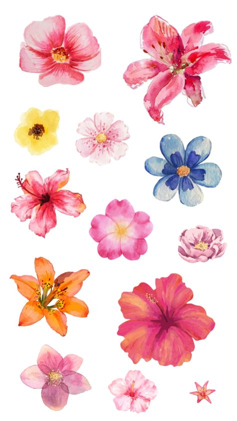 #collage #aesthetic #flower #flowers #lilies #hibiscus #watercolor #paintings #viralpost Hibiscus Watercolor, Flower Collage, Aesthetic Flower, Hibiscus Flowers, Viral Post, Hibiscus, Flower Painting, Watercolor Paintings, Lily