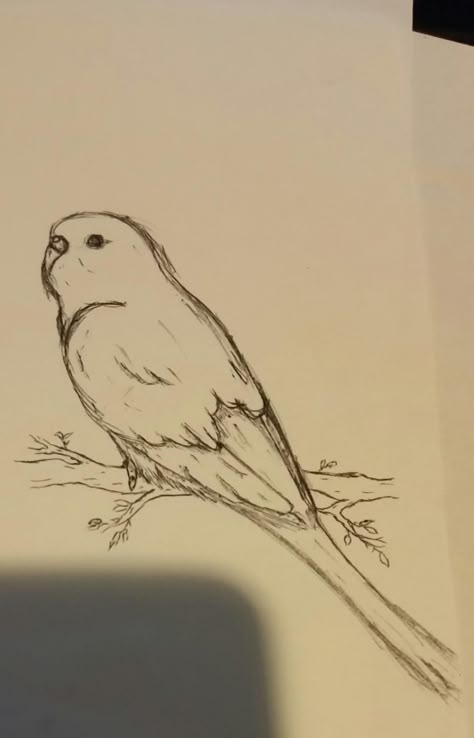 Drawing Ideas Animals Sketches, Cute Bird Drawing Simple, Animal Drawings Sketches Step By Step, Drawing Ideas Birds, How To Draw A Bird, Birds Drawing Easy, Little Bird Drawing, Sketch Ideas Animals, Bird Drawing Cute