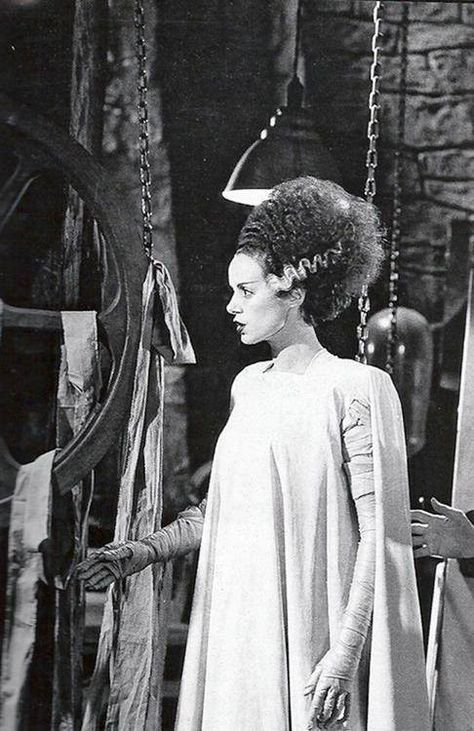 Bride Of Frankenstein Costume, Elsa Lanchester, Frankenstein Costume, Halloweenský Makeup, Bank Bed, Famous Monsters, Horror Monsters, Frankenstein's Monster, Regina George